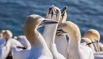 中国银联取得数字货币支付相关专利