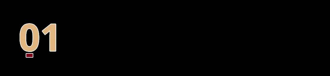 什么是虚拟数字人？