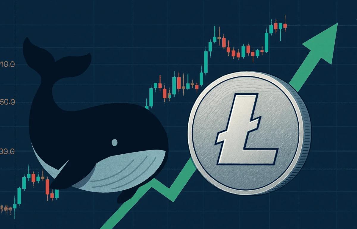 LTC投资(ltc币值得投资吗) LTC投资(ltc币值得投资吗)